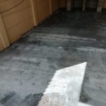 WhatsApp Image 2025-08-21 at 11.24.30 AM