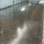 WhatsApp Image 2025-08-22 at 10.05.30 AM