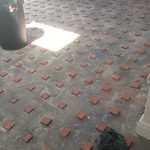 WhatsApp Image 2025-08-22 at 10.05.31 AM